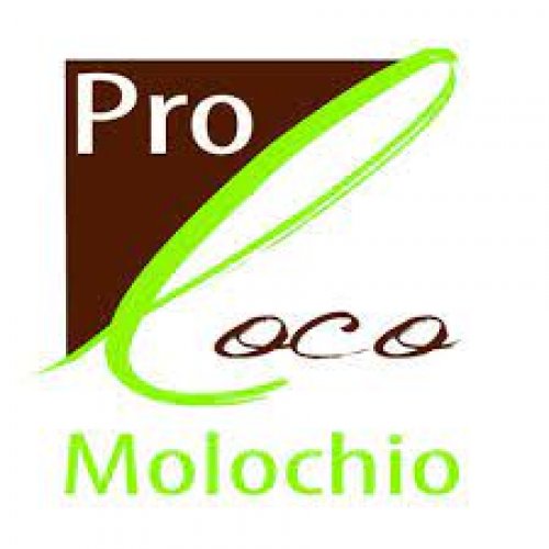 Foto dell'associazione